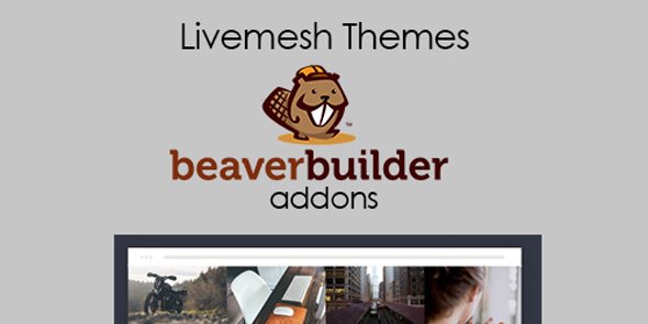Livemesh Addons for Beaver Builder